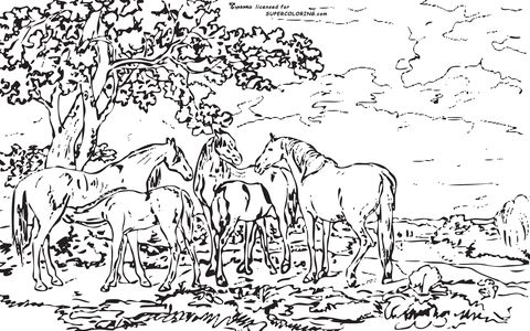 Mares and foals in a river landscape by george stubbs coloring page free printable coloring pages coloring pages nature horse coloring pages coloring pages