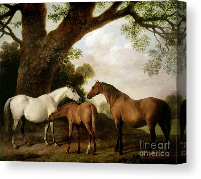 Two mares and a foal canvas print canvas art by george stubbs