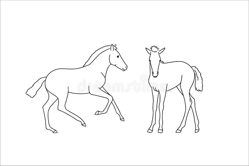 Foals stock illustrations â foals stock illustrations vectors clipart