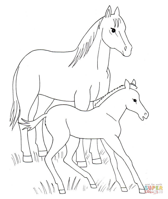 Horse and foal coloring page free printable coloring pages