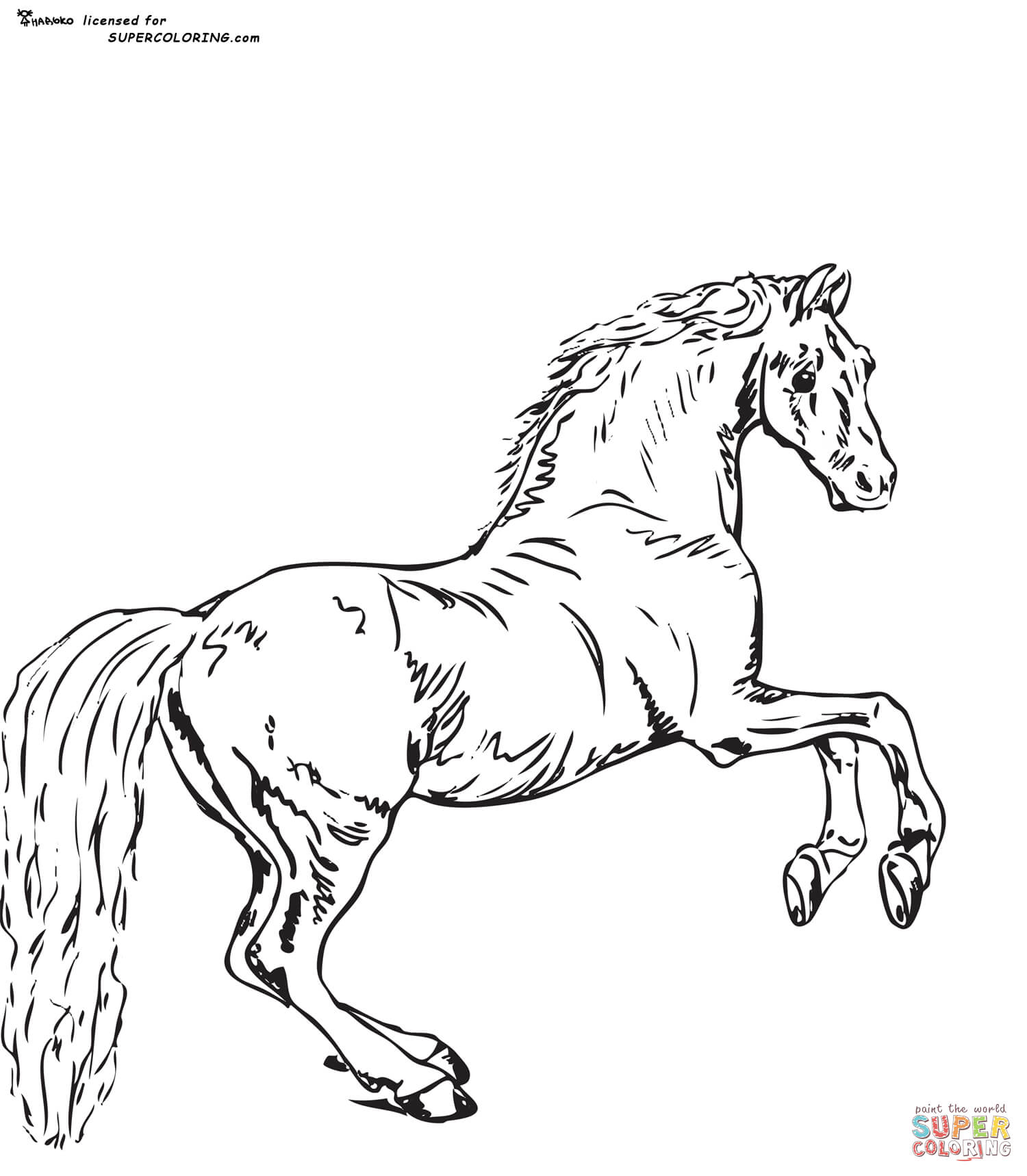 Whistlejacket by george stubbs coloring page free printable coloring pages