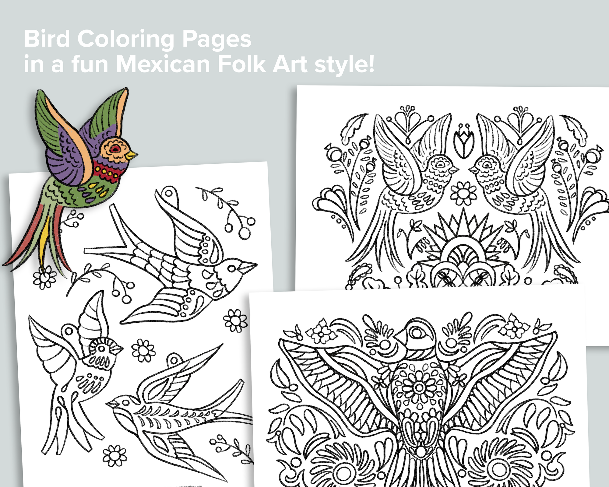 Mexican bird coloring pages â mornings together