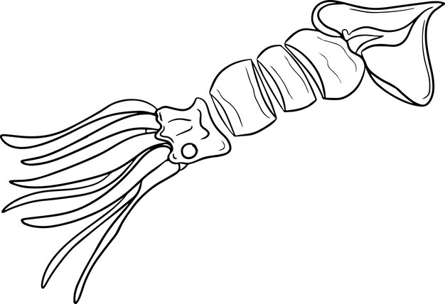 Premium vector vector hand drawn fast food illustration coloring pages with food