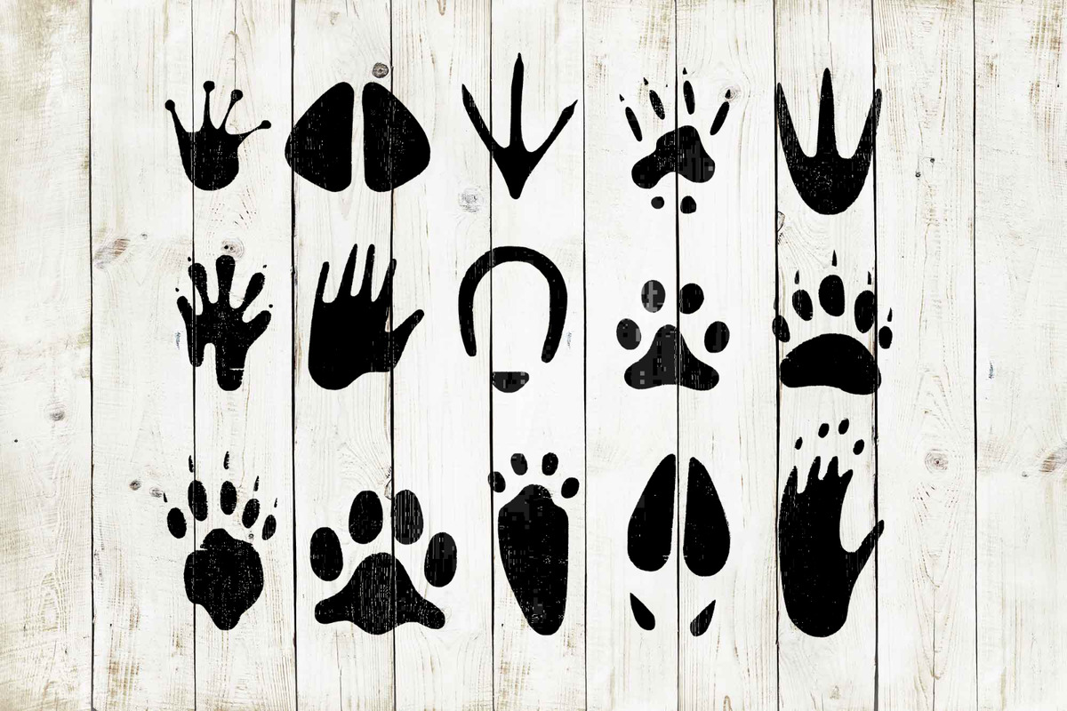 Animal footprint stencil