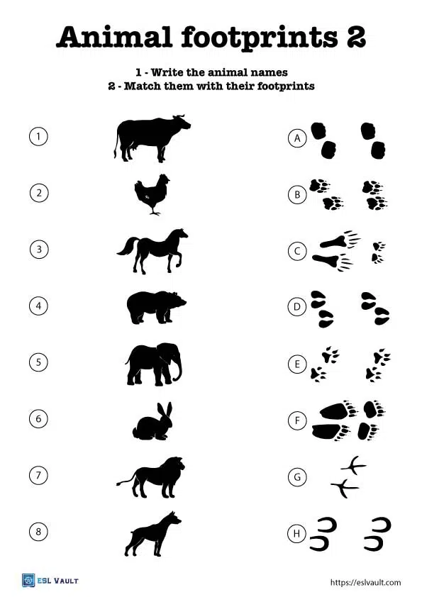 Animal footprints worksheets
