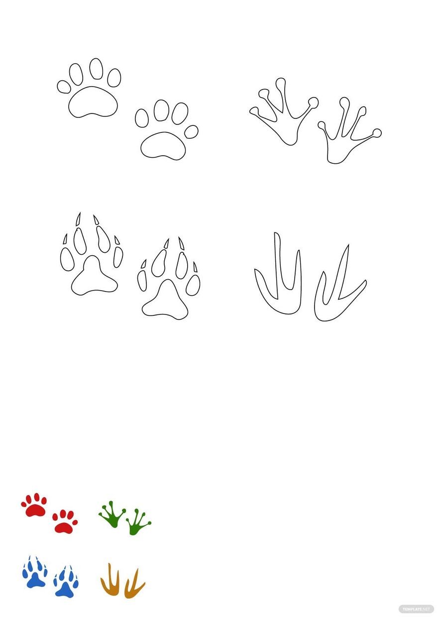 Free animal footprints coloring pages