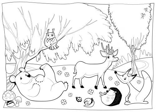 Forest animals animal coloring pages animal coloring books forest coloring pages