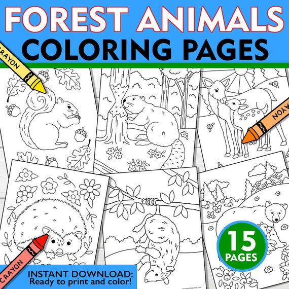 Forest animal coloring pages forest friends coloring pages forest animal coloring sheets woodland coloring pages woodland printable