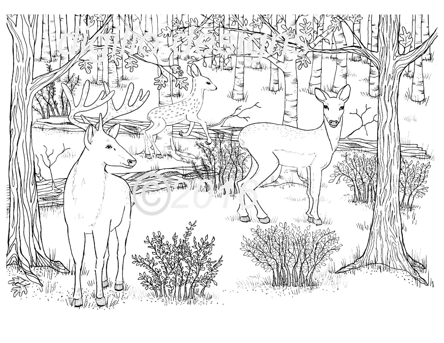 Adult coloring page