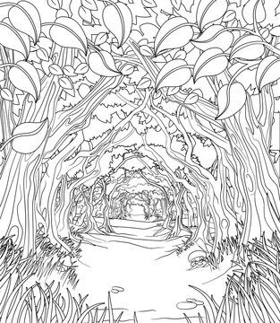 Coloring pages forest images â browse photos vectors and video