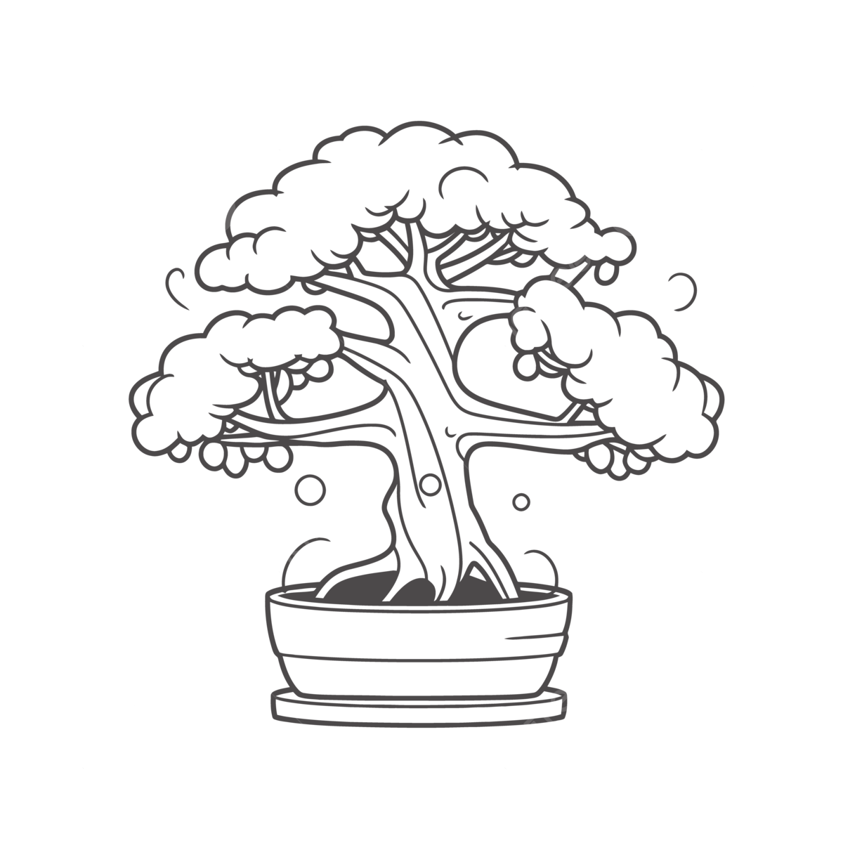 Bonsai plant image in black white and white line drawing illustration outline sketch vector plant drawing wing drawing rat drawing png and vector with transparent background for free download