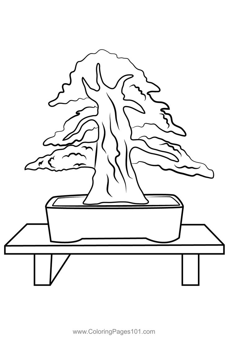 New bonsai tree coloring page tree coloring page coloring pages bonsai tree