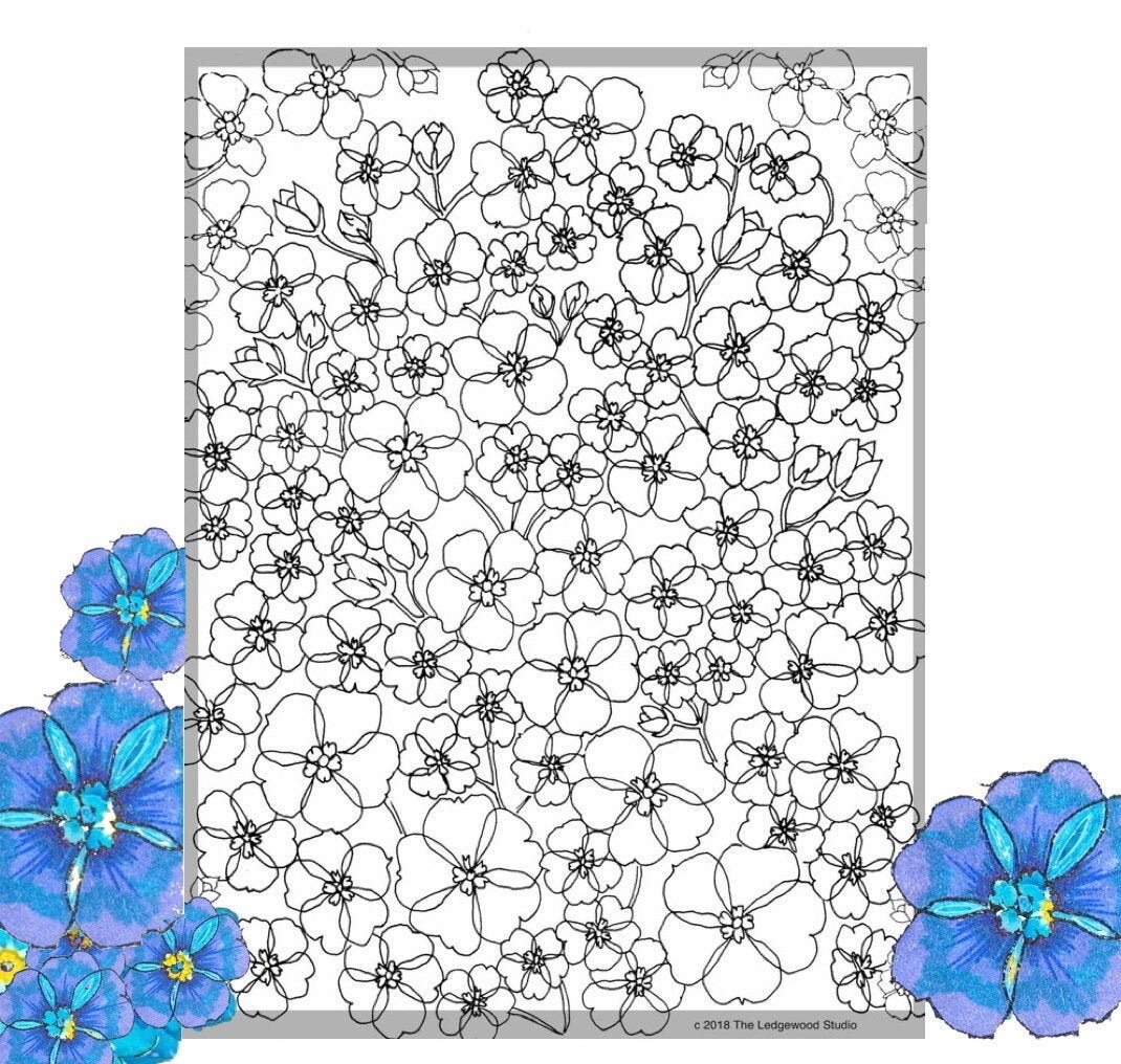 Printable coloring page forget