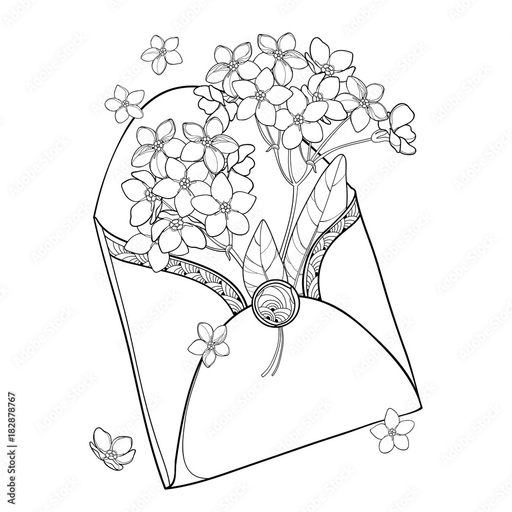 Vector bouquet with outline forget me not or myosotis flower in opened black craft envelope isolated on white background wildflower forget