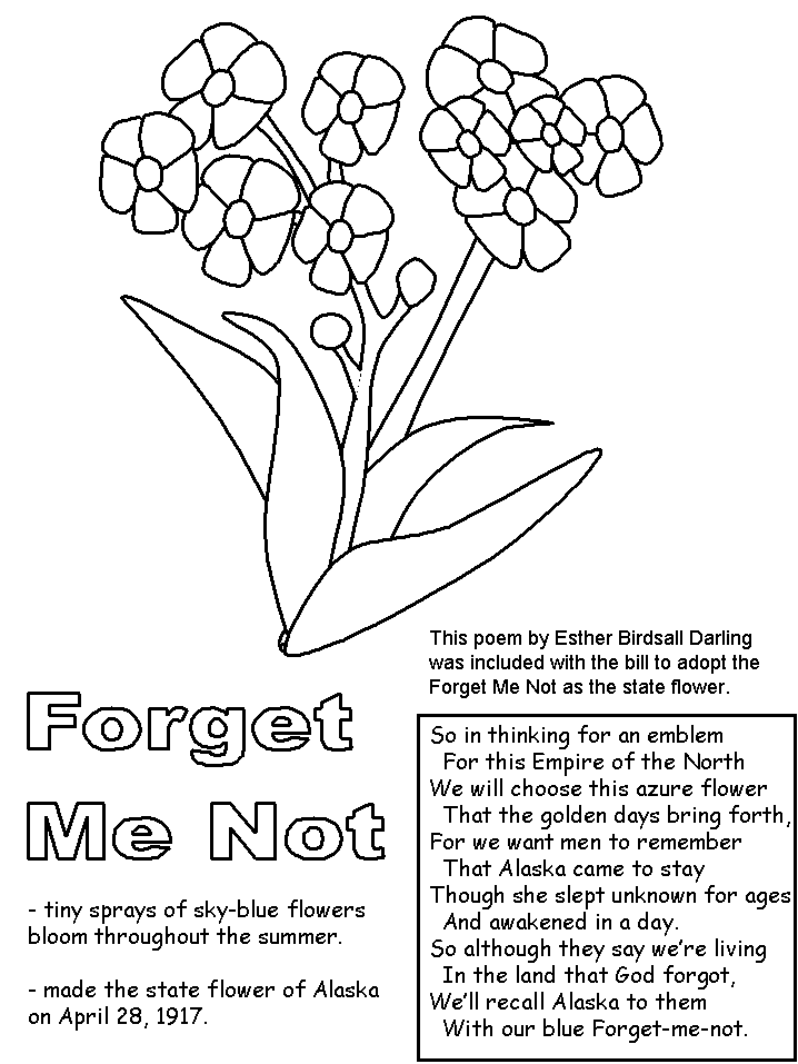 Forget me not coloring page