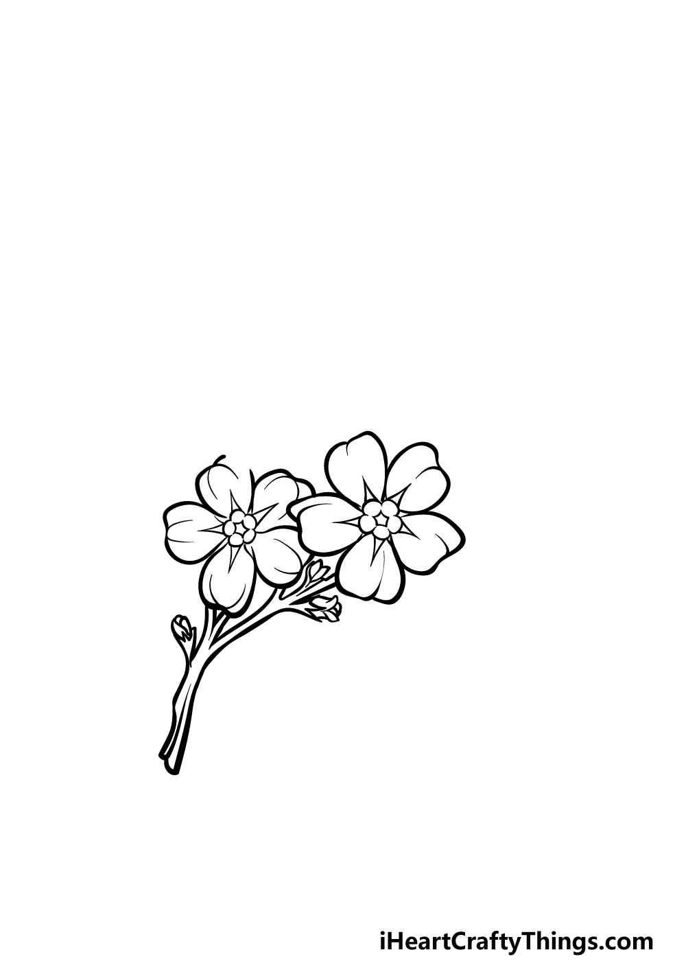 Forget me not drawing