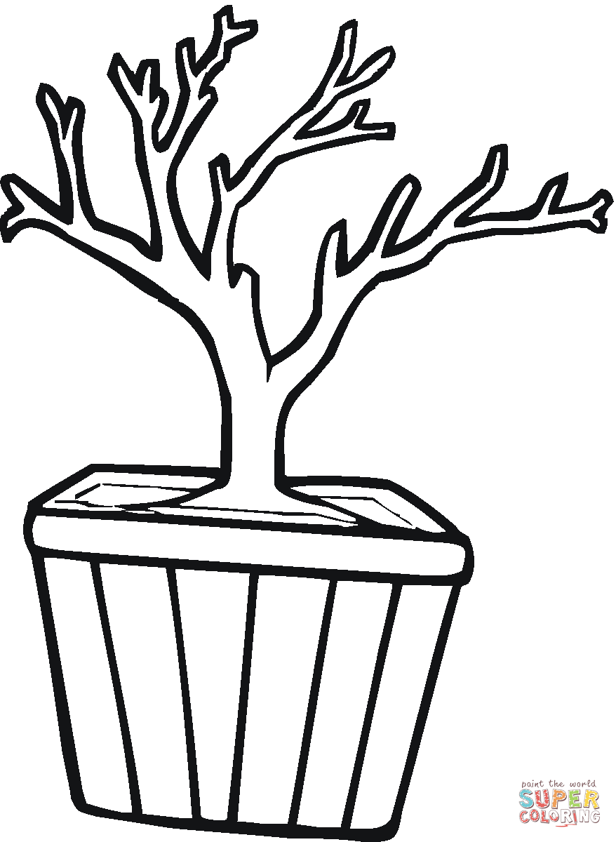 Bonsai in a pot coloring page free printable coloring pages