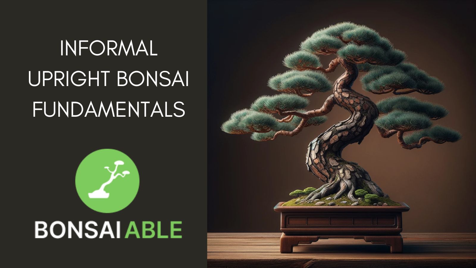 Formal upright bonsai techniques tips and tree selection