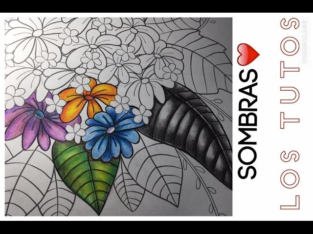 Coo pintar ejor sobras