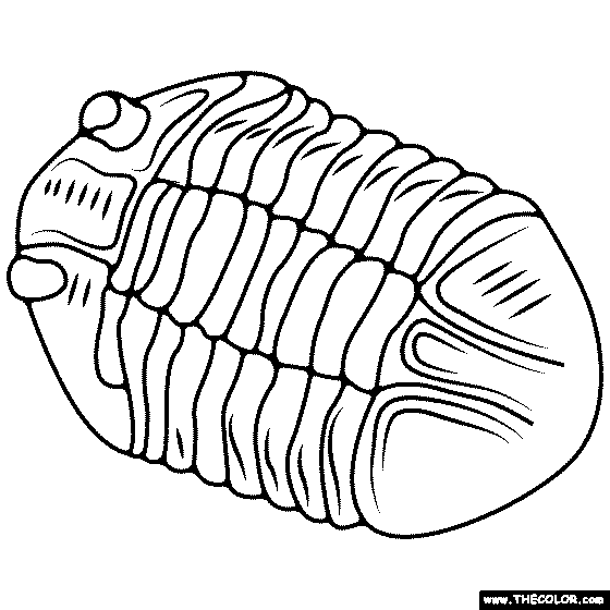 Trilobite fossil coloring page