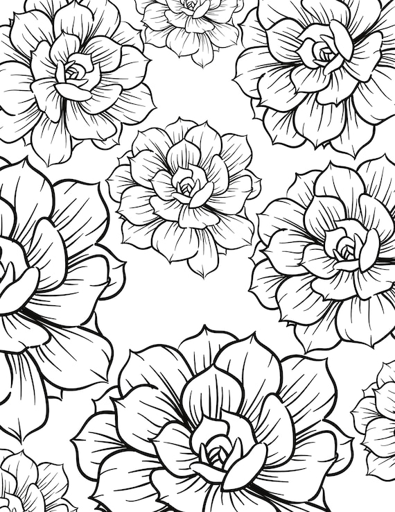 Pãginas para colorear de flores pãginas para colorear flores relajarse colorear para adultos digital descarga digital