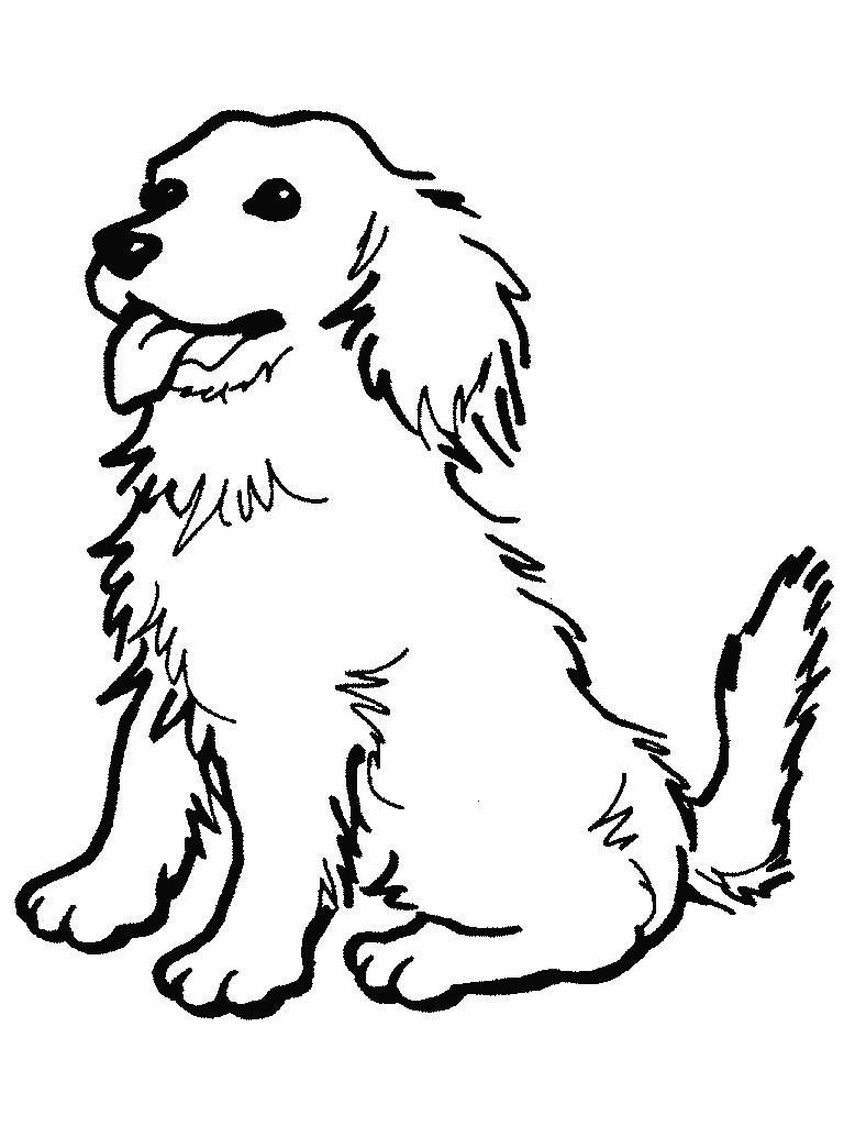 Perros dog loring page puppy loring pages animal loring pages