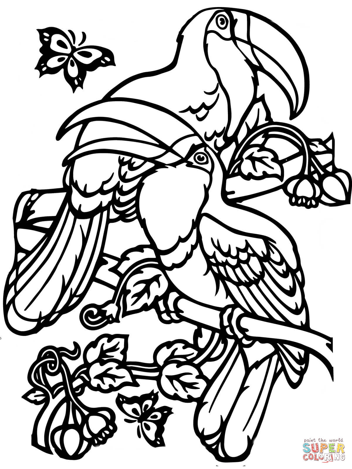 Two toucans coloring page free printable coloring pages