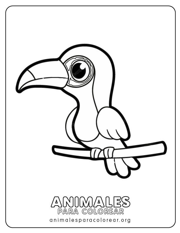 Tucanes para colorear descargar e imprimir gratis