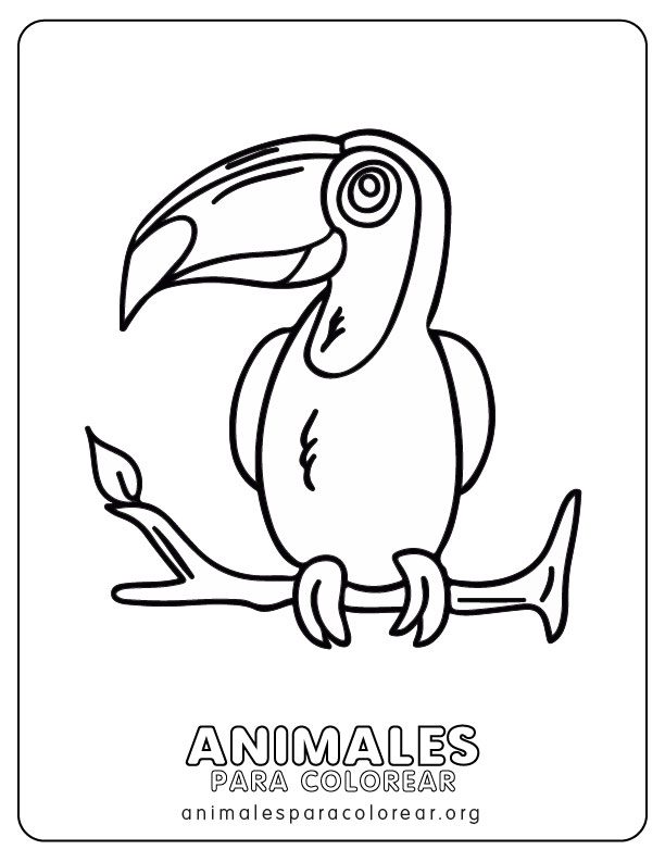 Tucanes para colorear descargar e imprimir gratis