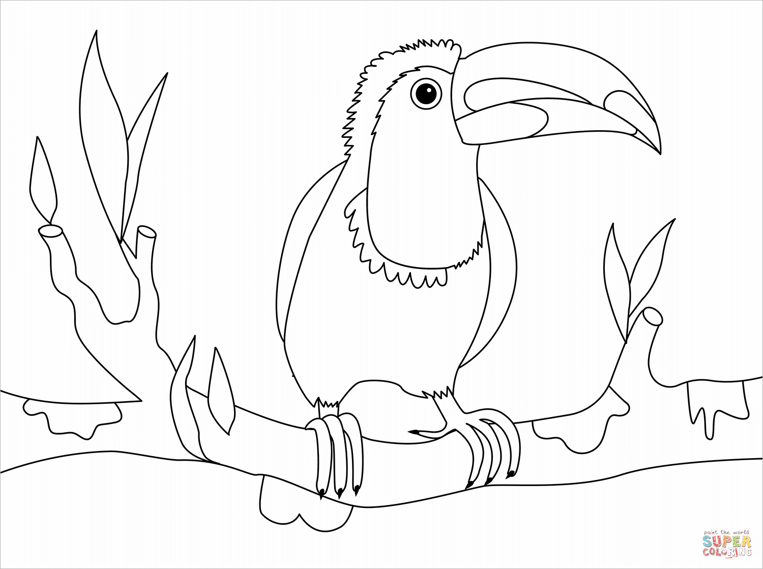 Toucan coloring page free printable coloring pages