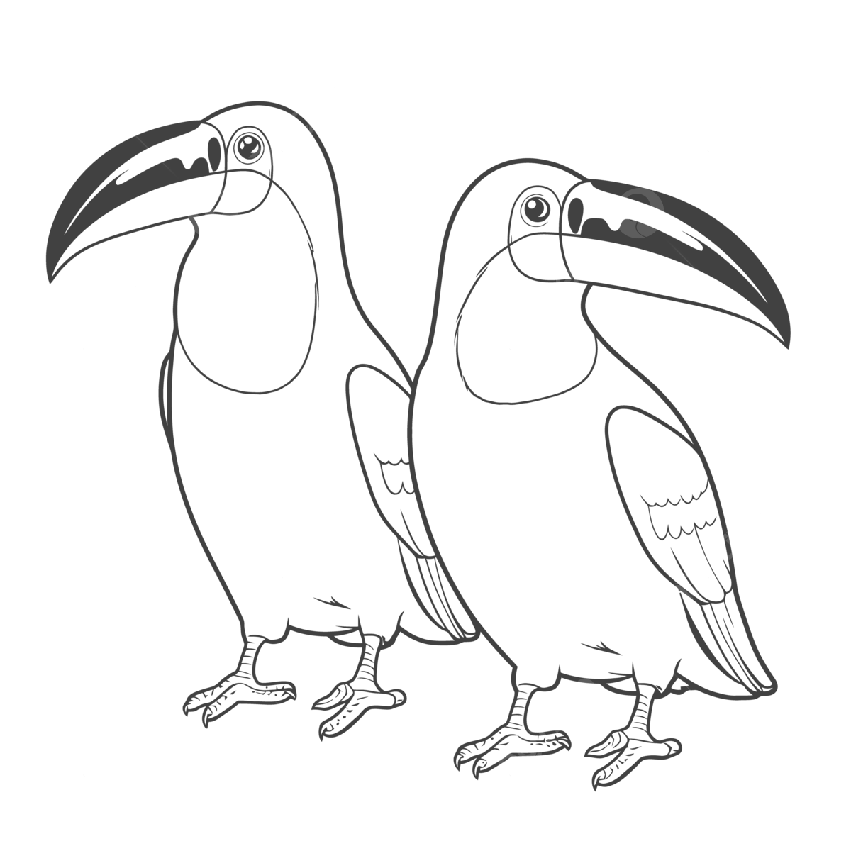 Dibujo de par tucan para colorear pãginas quema boceto vector png dibujos dibujo de ala dibujo de anillo dibujo en color png y vector para dcargar gratis