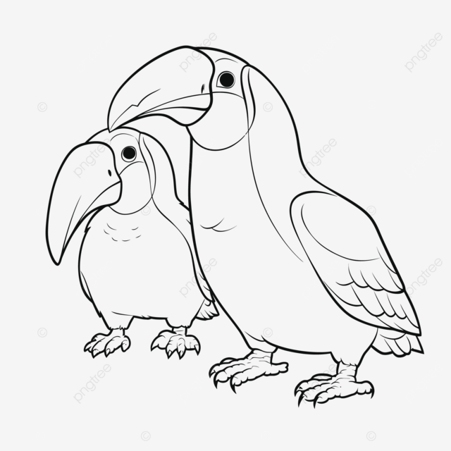 Dibujo de tucan para colorear paginas quema bosquejo vector png dibujos dibujo de ala dibujo de anillo dibujo en color png y vector para dcargar gratis