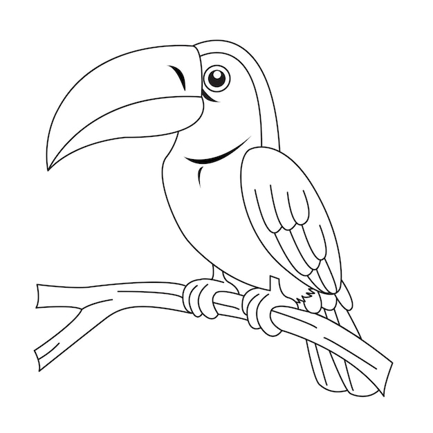Premium vector toucan on a branch vector coloring book