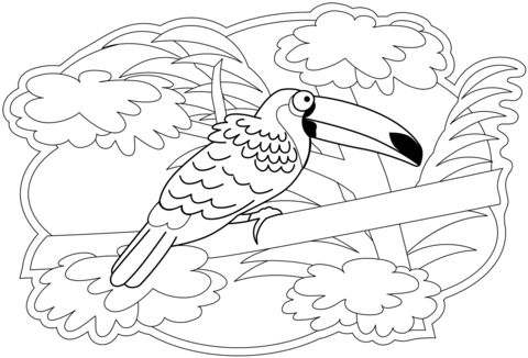 Toucan coloring page free printable coloring pages