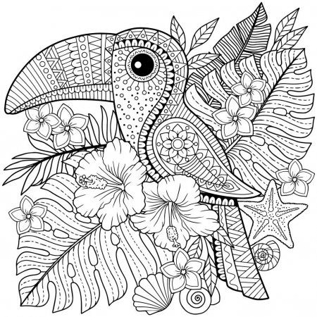 Libro para colorear para adultos tucãn entre flor y hojas tropical â ilustraciãn de stock mandala kleurplaten kleurplaten kleurboek