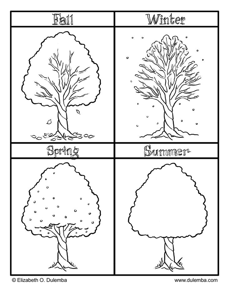The four seasons colouring pages seasons worksheets tree coloring page coloring pages