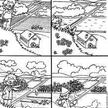 Four seasons coloring pages