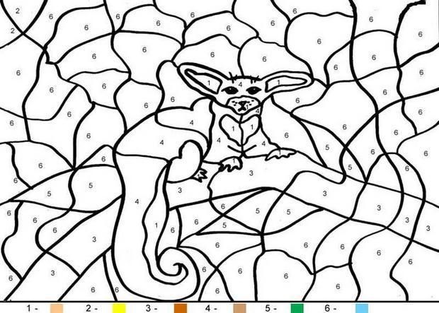 Animal color by number coloring pages