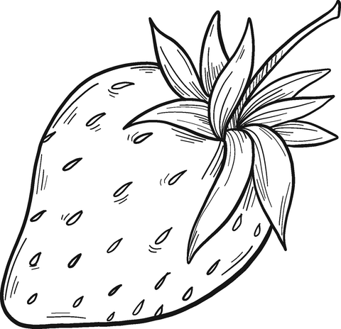 Dibujo de fresa para colorear dibujos para colorear imprimir gratis