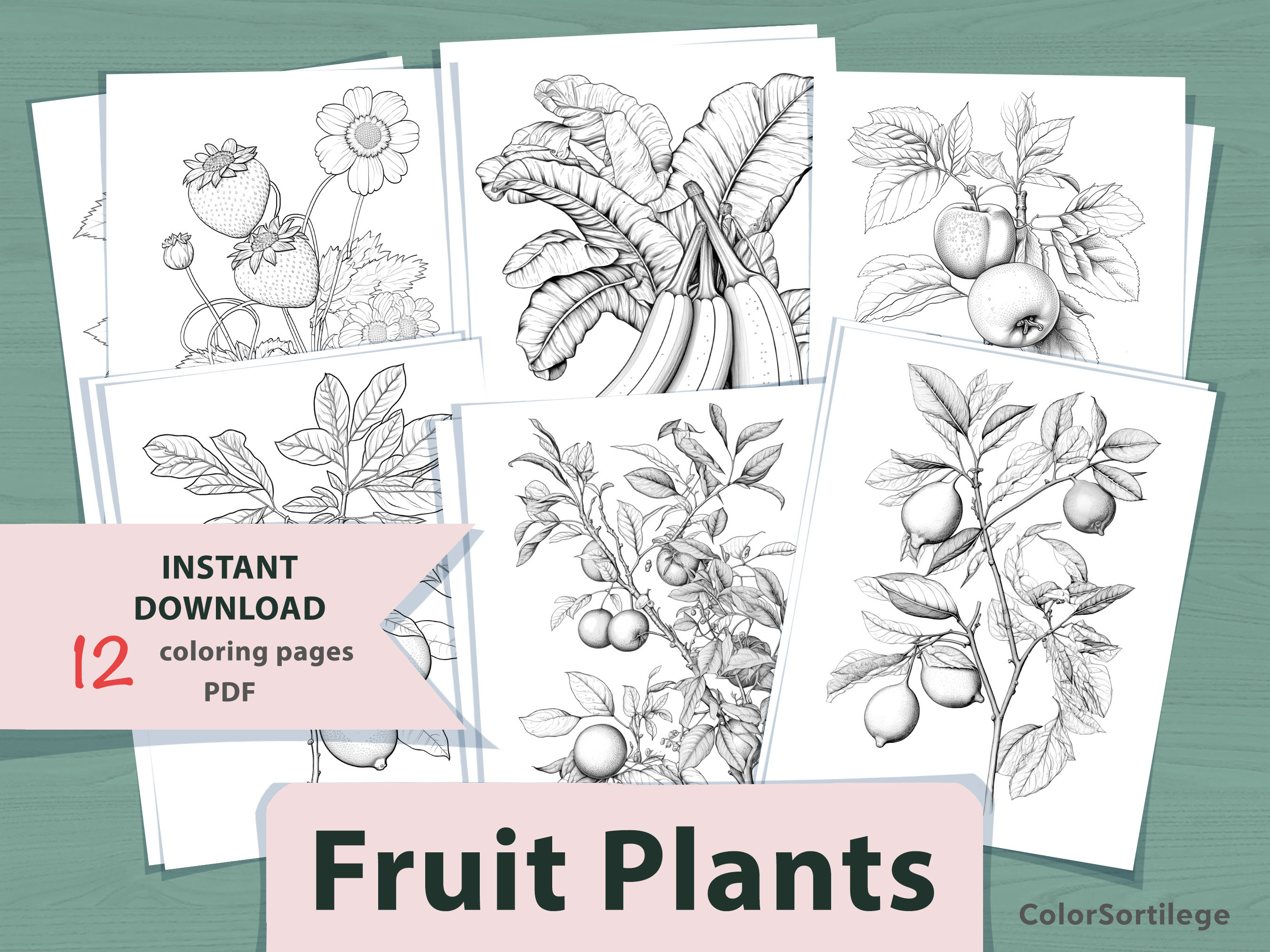 Elegant fruit coloring pages for adult coloring page