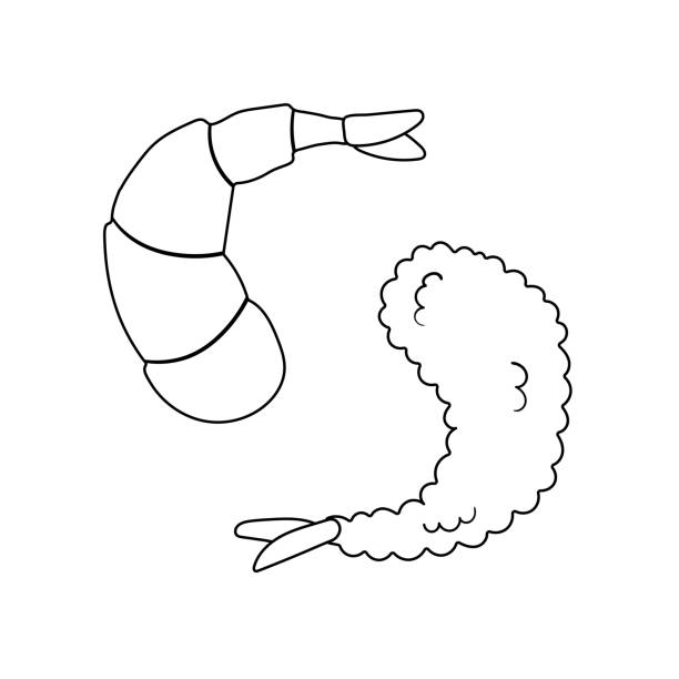 Breaded shrimp isolated stock illustrations royalty