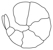 Food coloring pages free coloring pages