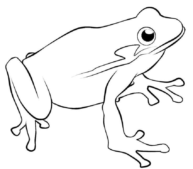 Frog coloring page