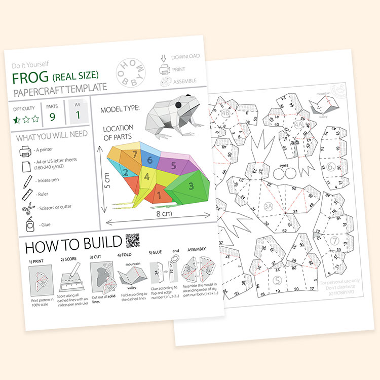 Paper frog realistic size d papercraft pdf template