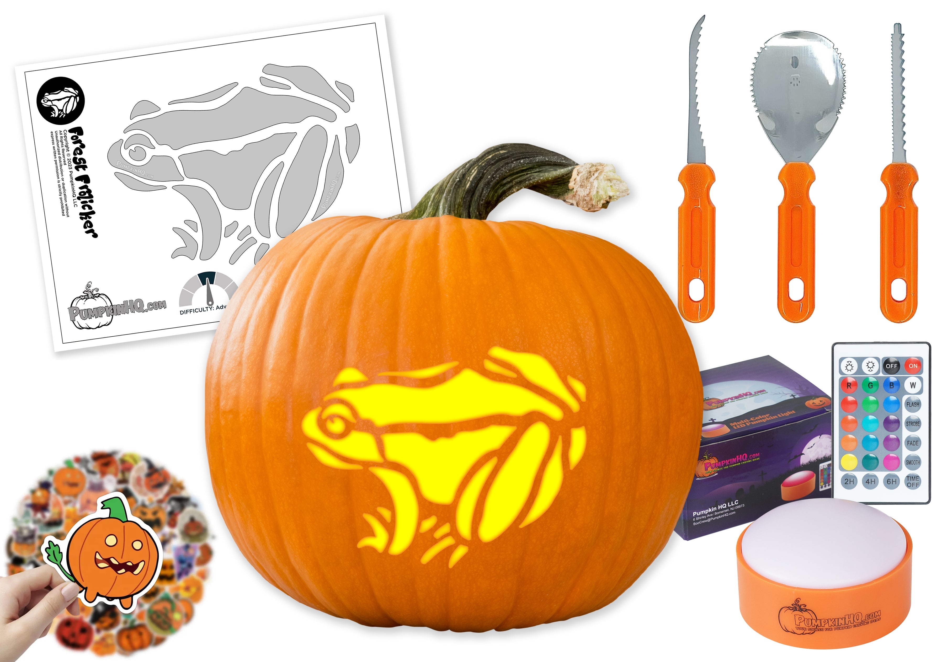 Forest frog pumpkin carving stencil