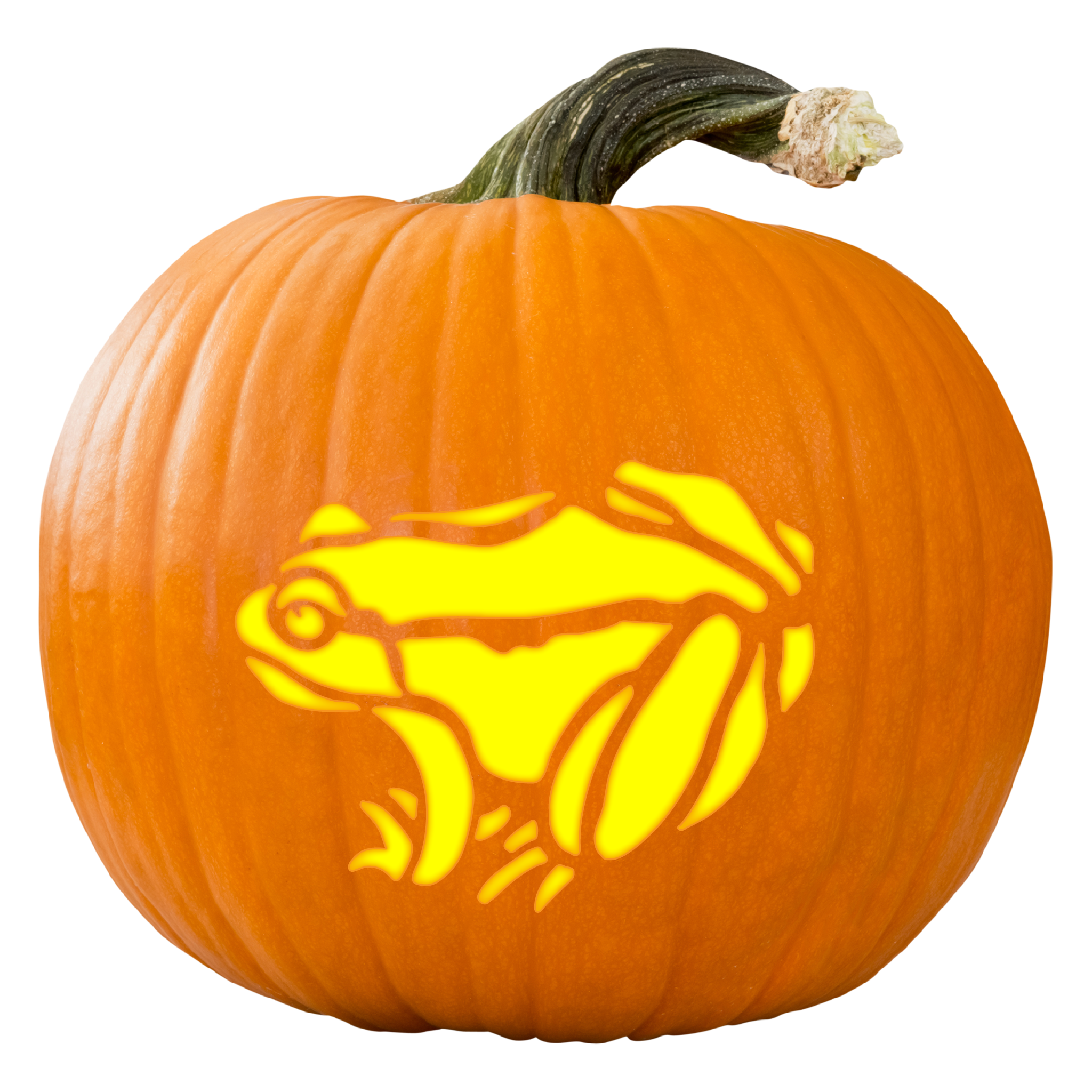 Forest frog pumpkin carving stencil