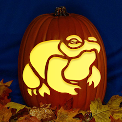Bull frog co