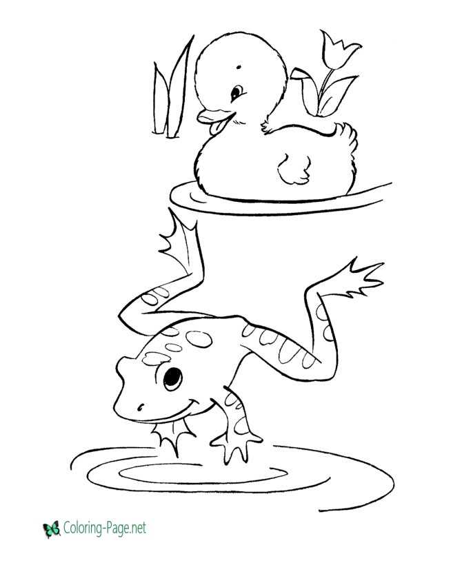 Frog coloring pages