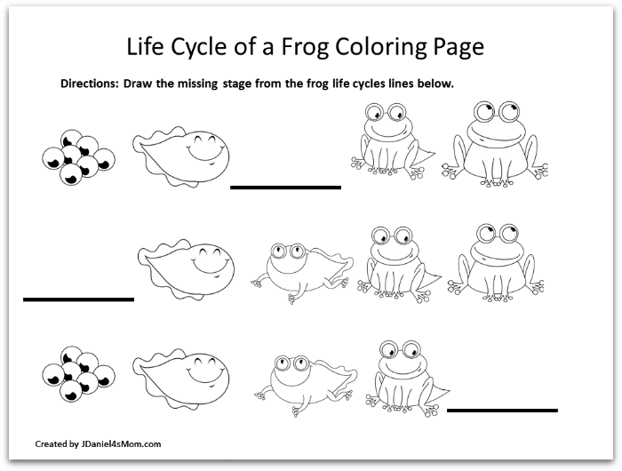 Frog coloring pages and learning activities