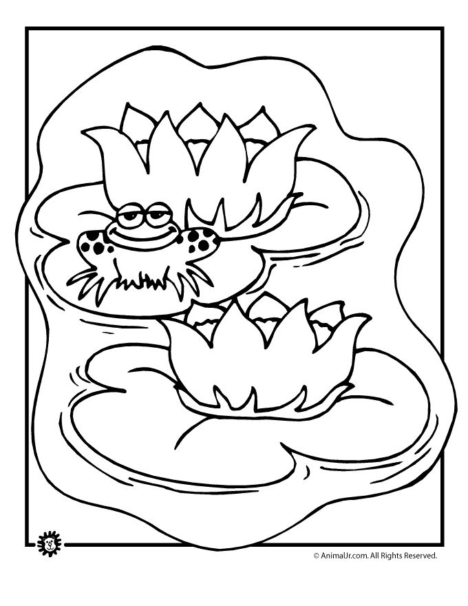 Frog and lily pads coloring page frog coloring pages flower coloring pages coloring pages